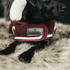 Kentucky Dog Coat Heavy Fleece Bordeaux