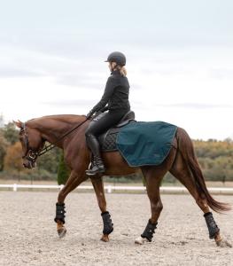 Waldhausen Salzburg Ländtäcke Regn Petrol Blue