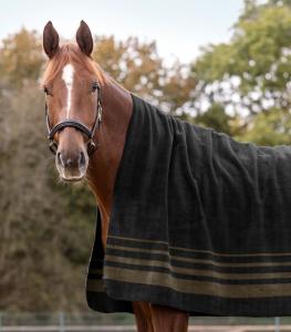 Waldhausen Sölden Fleecefilt 180x200cm Black