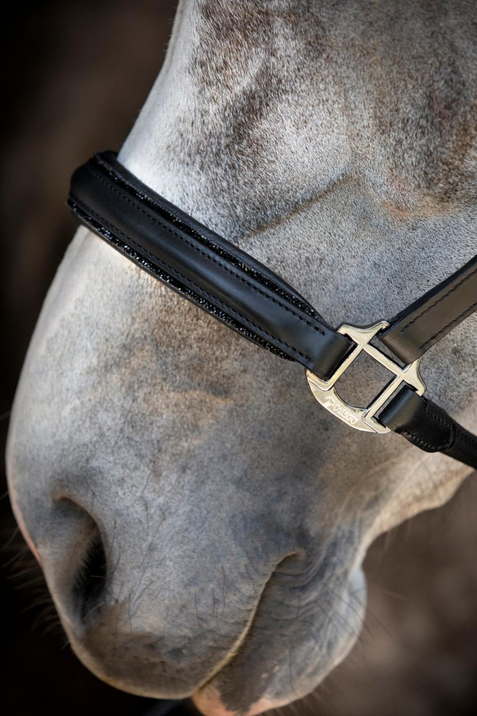 Catago Tori 26.1 Lädergrimma Glitterstenar Svart