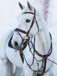 Jacson Heritage Olympia Förbygel