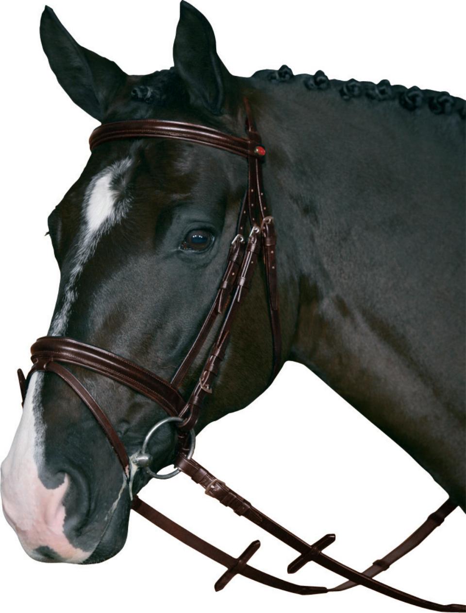 Horse Guard Hopp/Allround träns med Supergrip tygel
