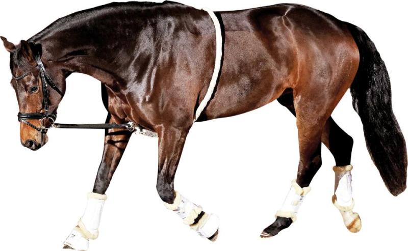 Horse Guard Soft Longeringshjälp