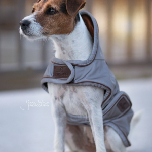 Kentucky Dog Coat Reflective Water Repellent