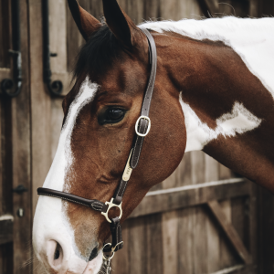 Kentucky Grooming Halter/Grimma