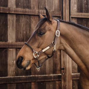 Kentucky Leather Rope Halter/Grimma Brun