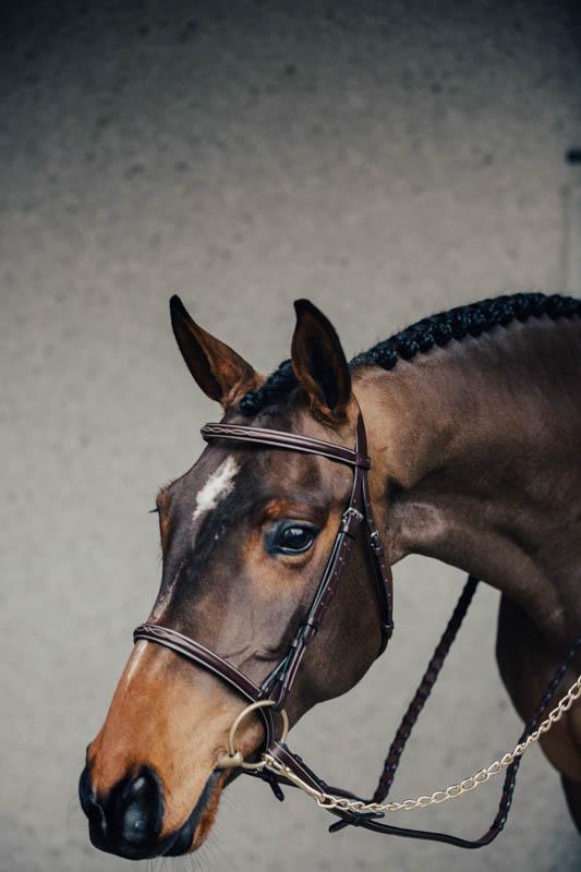 Equipe Träns Hunter Silverspänne & Flätad Tygel