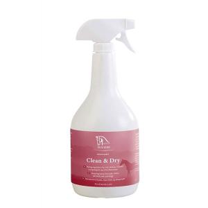 Blue Hors Clean & Dry torrshampoo 1L