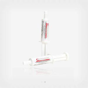 Friska Leder Conquest 60g (4st doser)