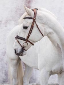 Jacson Heritage London Träns Brun MS