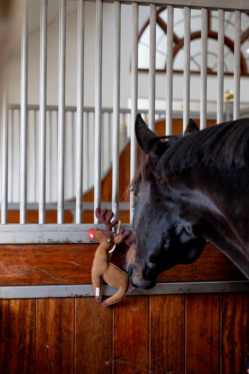 Horse Guard Hästleksak Reindeer