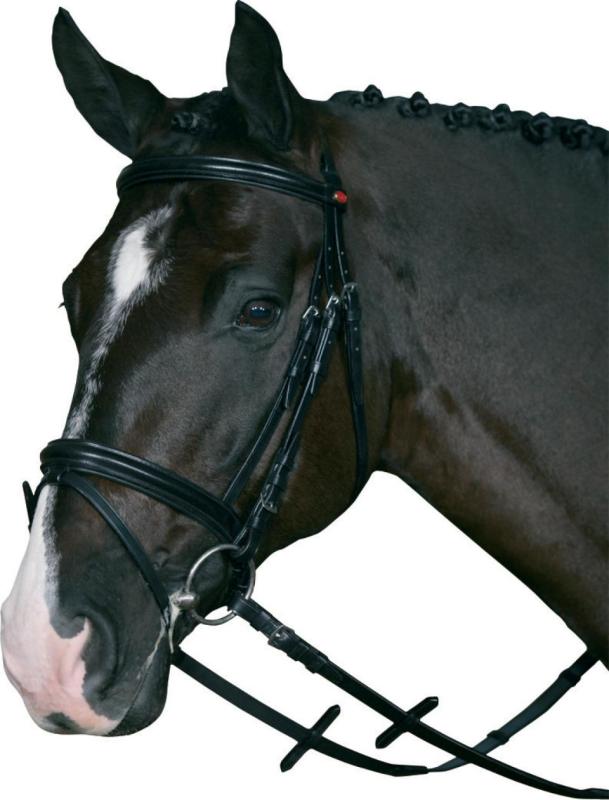 Horse Guard Hopp/Allround träns med Supergrip tygel