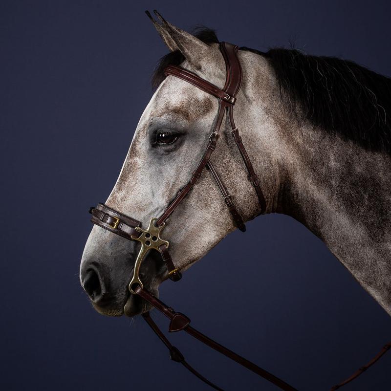 Blowjob va juni yutish Lateks porno charm fetish galereyasi