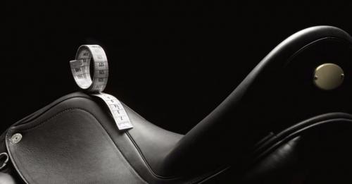 Sadel + sadelprovning