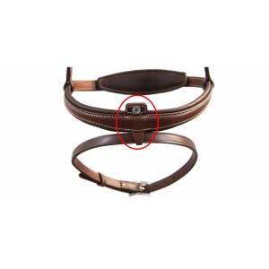 Antares löstagbart fäste nosrem