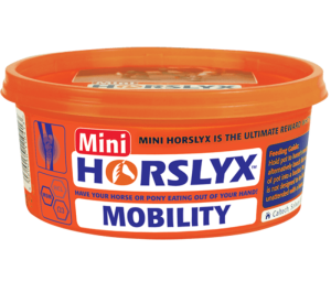 Horselyx Slicksten Mobility 650g