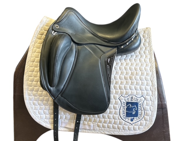 Equiline Alissum