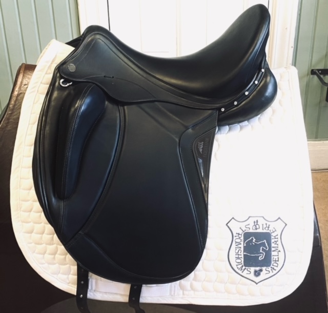 Equiline Alissum 17"/W