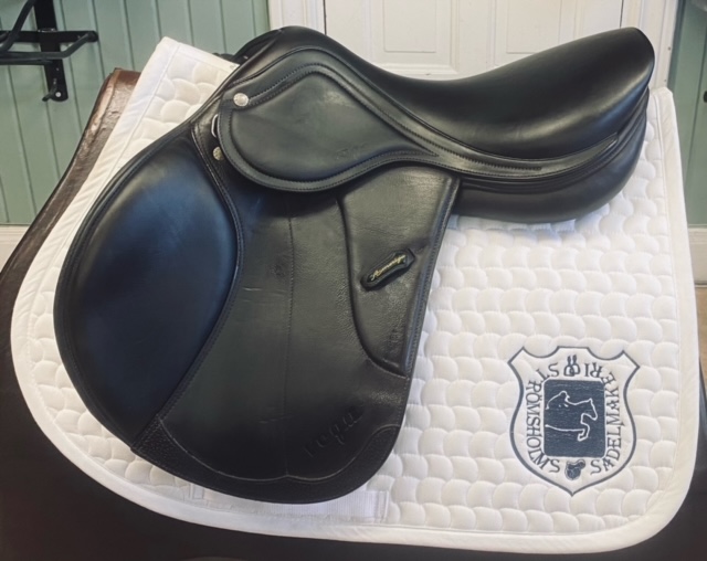 Amerigo Vega 17"N +4 +1,5