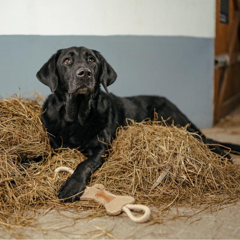 Hansbo Sport Hundleksak "Ben" i jute