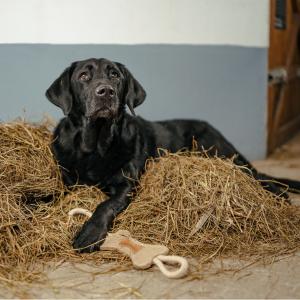 Hansbo Sport Hundleksak "Ben" i jute