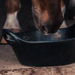 Hansbo Sport Foder/Kangarookrubba 11l