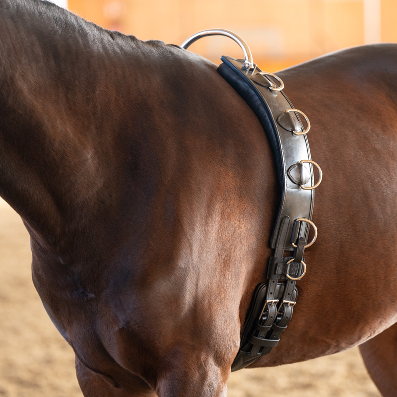 Kavalkade Tömkörningsgjord