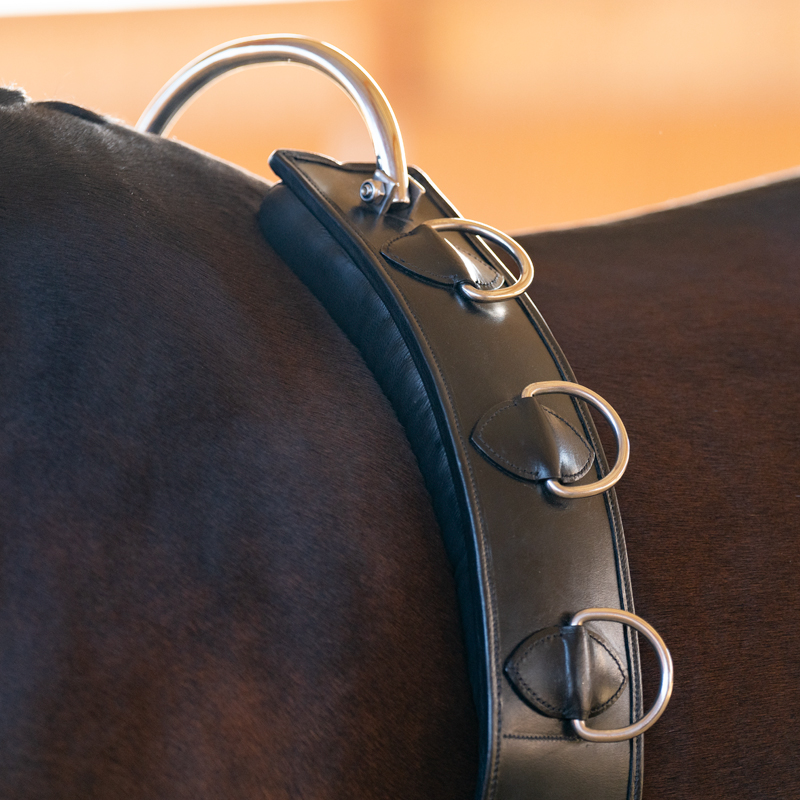 Kavalkade Tömkörningsgjord