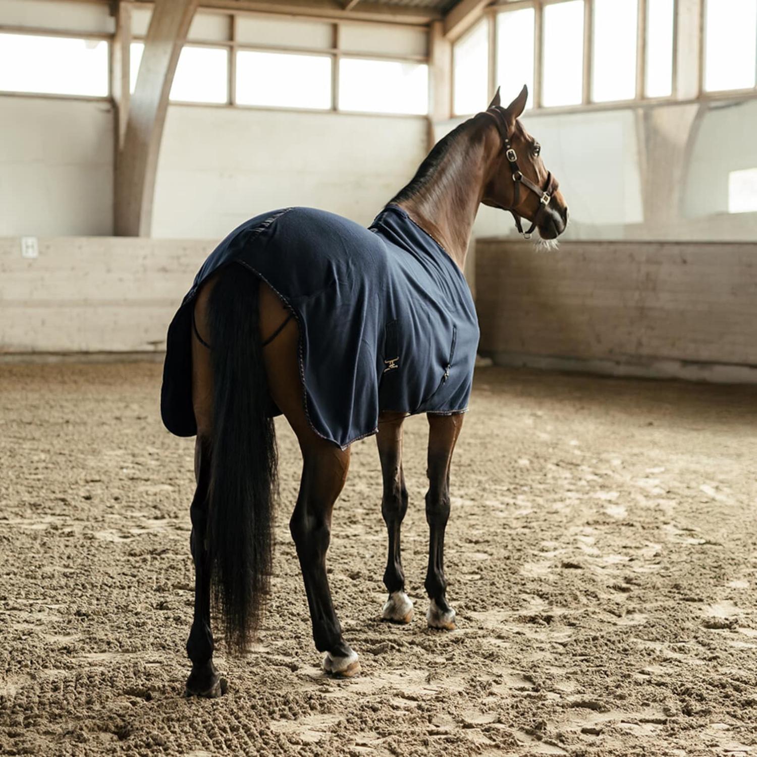 Hansbo Sport Fleecetäcke Hug Marin