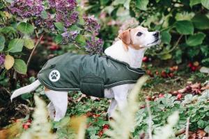 Kentucky Dog Coat Waterproof 300g Pine Green