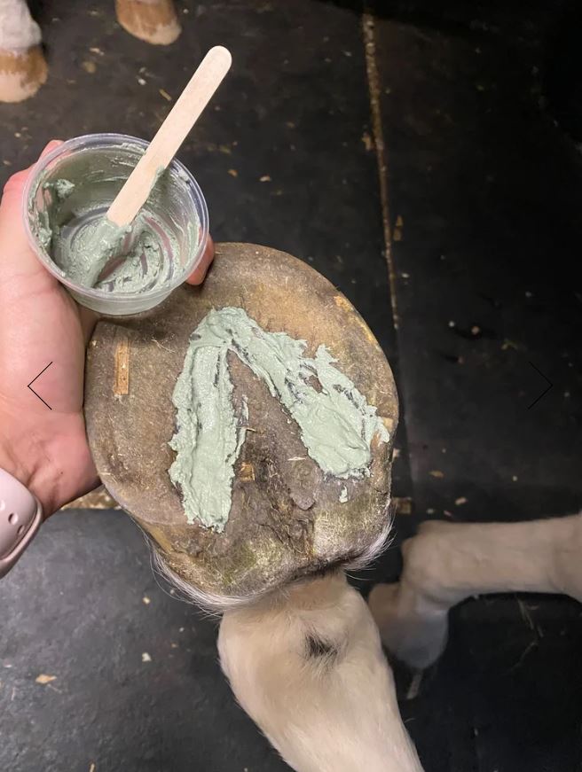 Keratex Termiskt Hovlerapulver Kit 400g