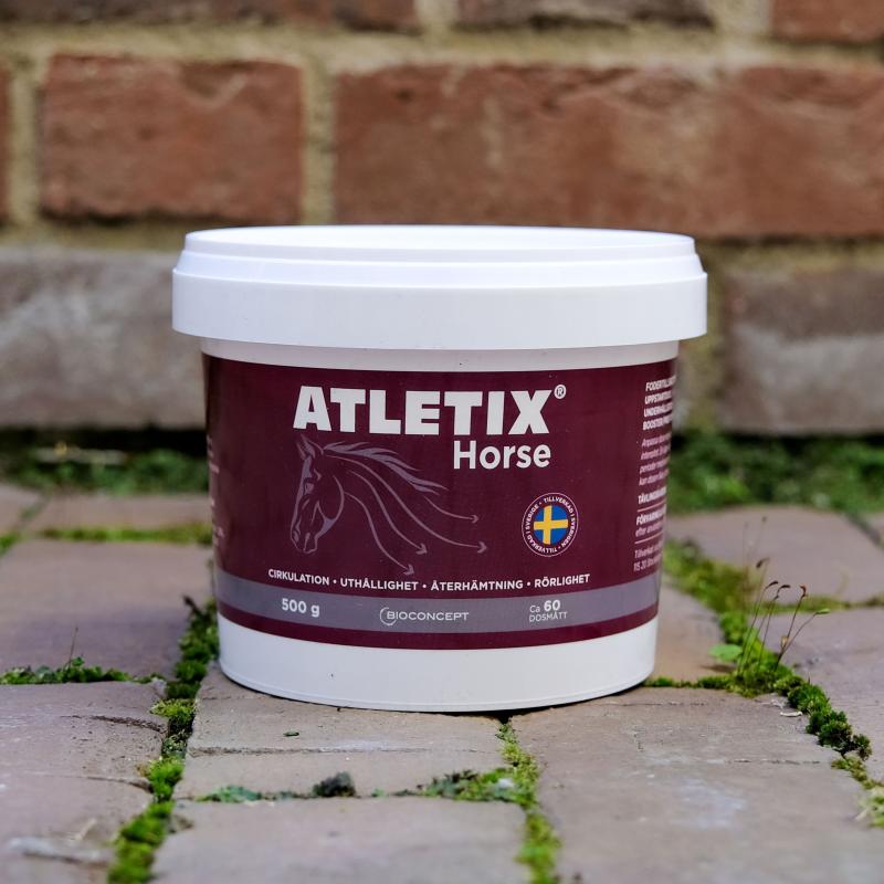 Atletix Horse