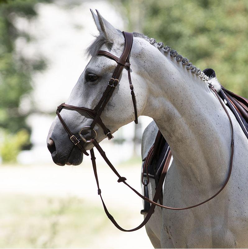 Qadimgi dunyoda porno lesbiyan jinsiy aloqa Yosh qizlar bilan etuk porno onlayn