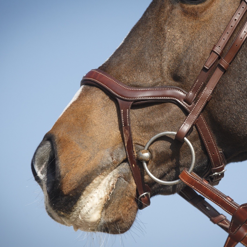 Antares Precision Y-nosgrimma