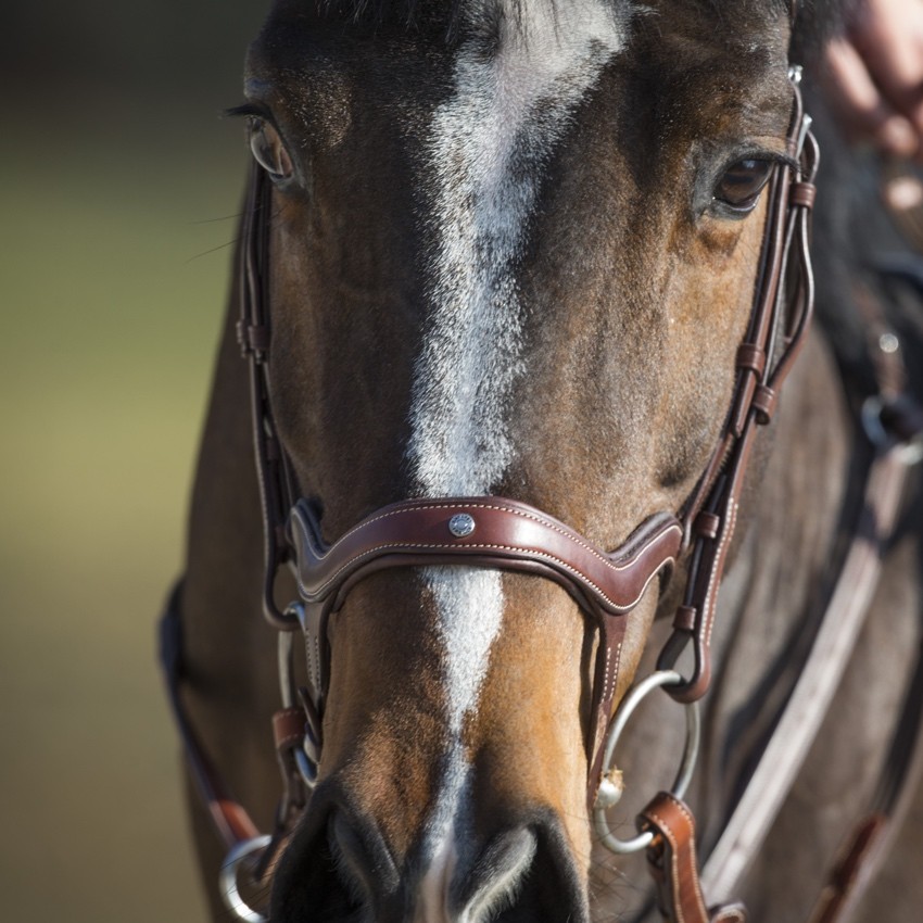 Antares Precision Y-nosgrimma