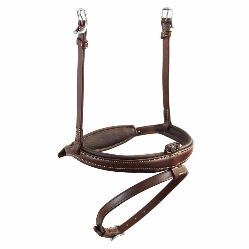 Antares Origin Aachennosgrimma