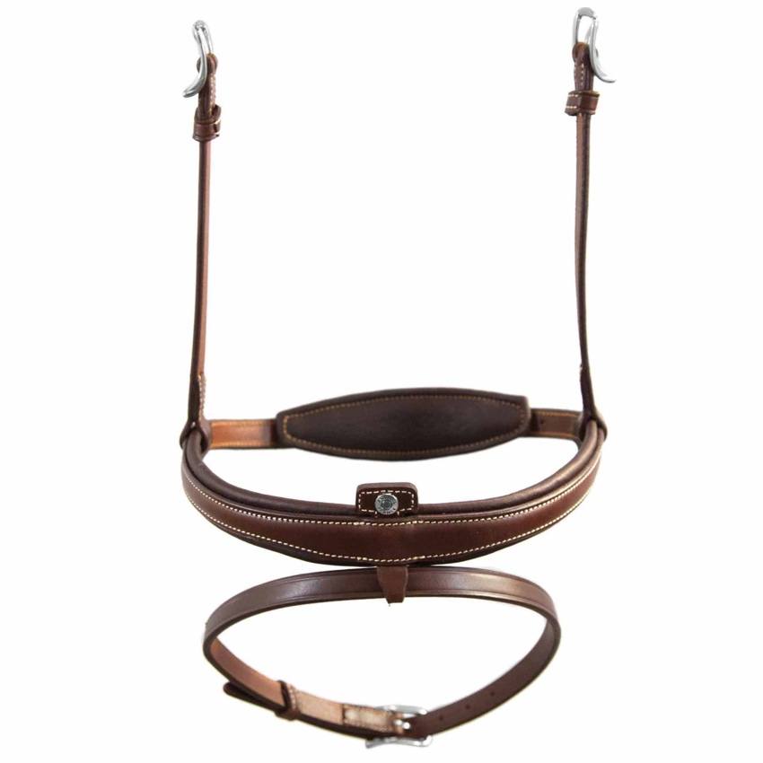 Antares Origin Aachennosgrimma