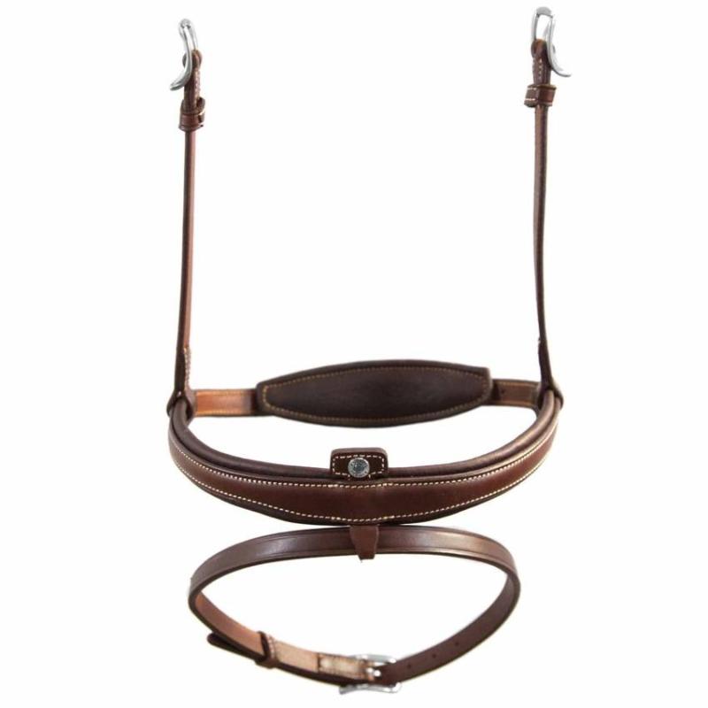 Antares Origin Aachennosgrimma