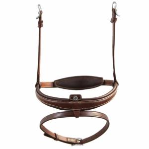 Antares Origin Aachennosgrimma