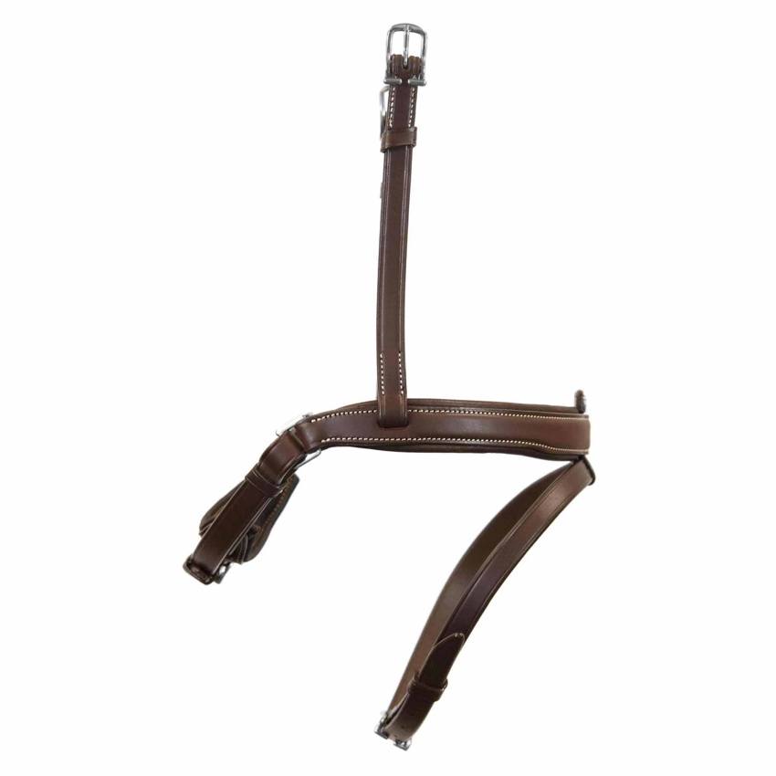 Antares Origin Aachennosgrimma pull-back