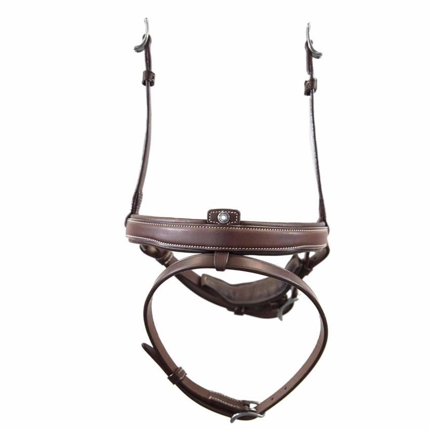 Antares Origin Aachennosgrimma pull-back