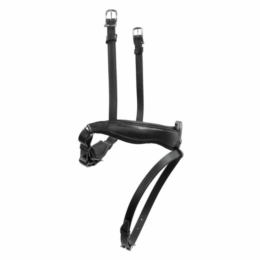 Antares Origin Dressyrnosgrimma