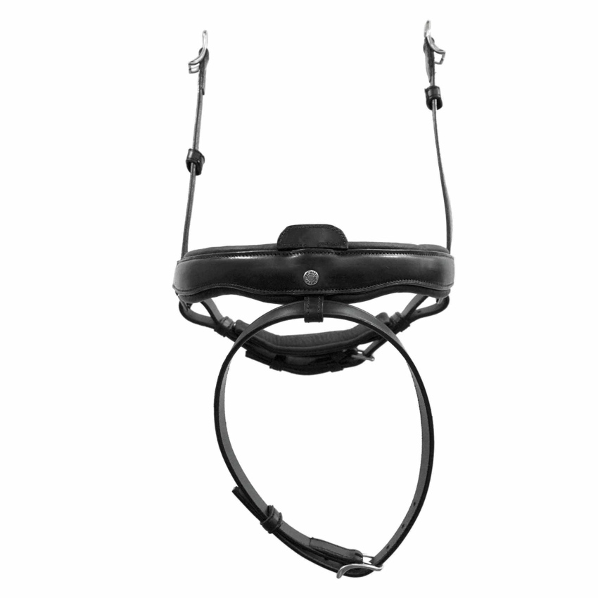 Antares Origin Dressyrnosgrimma