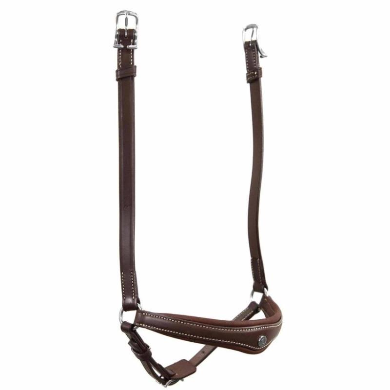 Antares Origin Remontnosgrimma