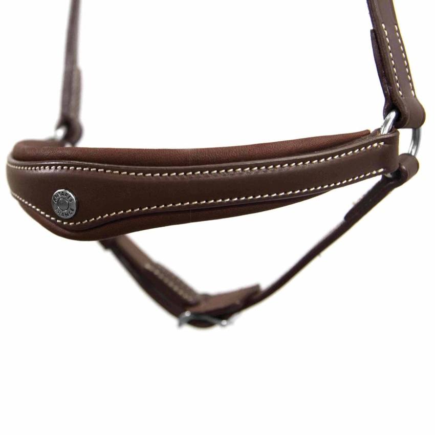 Antares Origin Remontnosgrimma