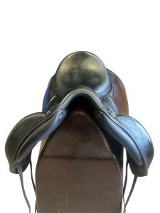 Equipe Victoria 17,5"K M +3