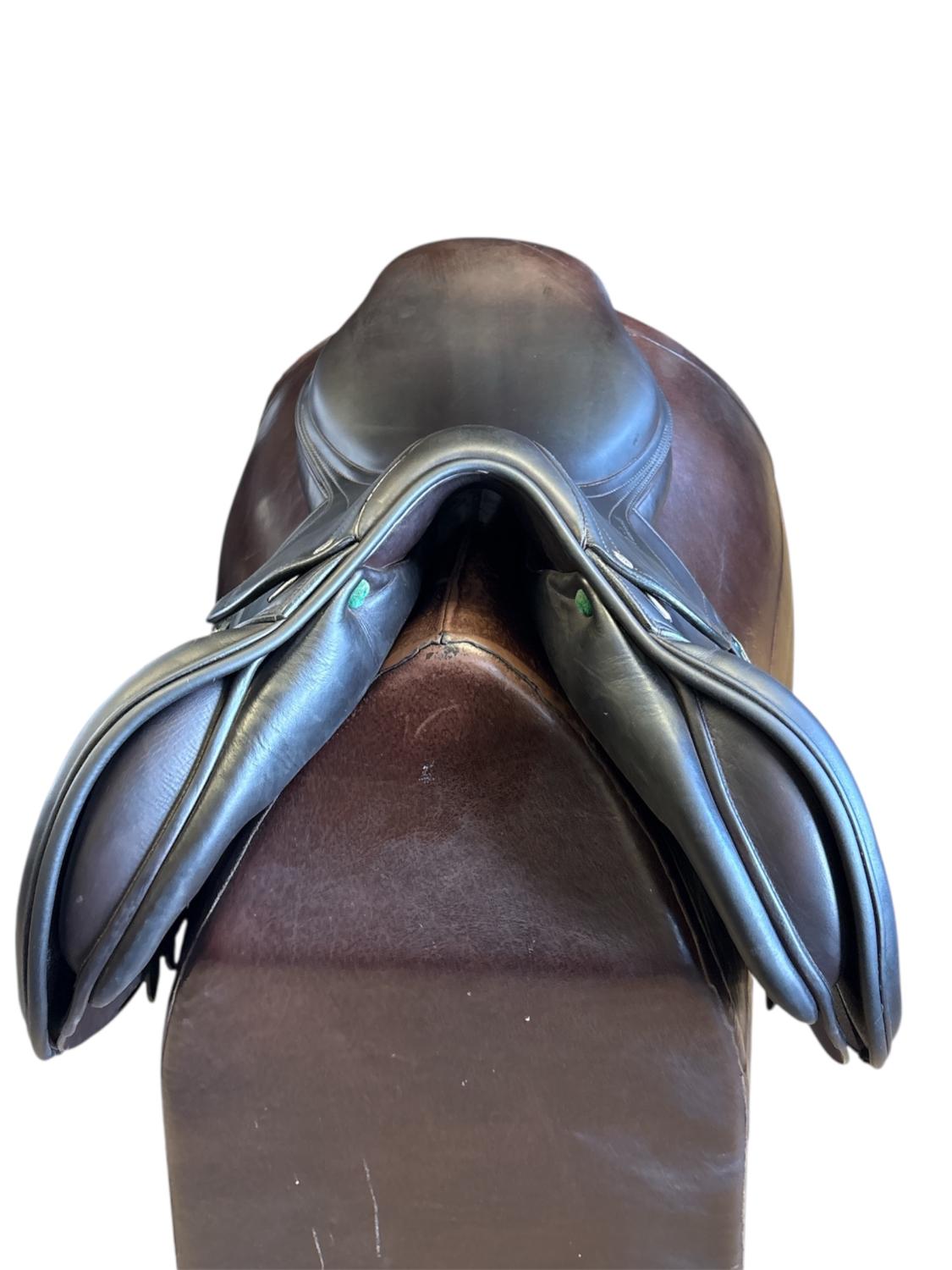 Amerigo DJ Pinerolo Largo 17,5"N 2 M