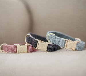 Kentucky Dog Collar Wool
