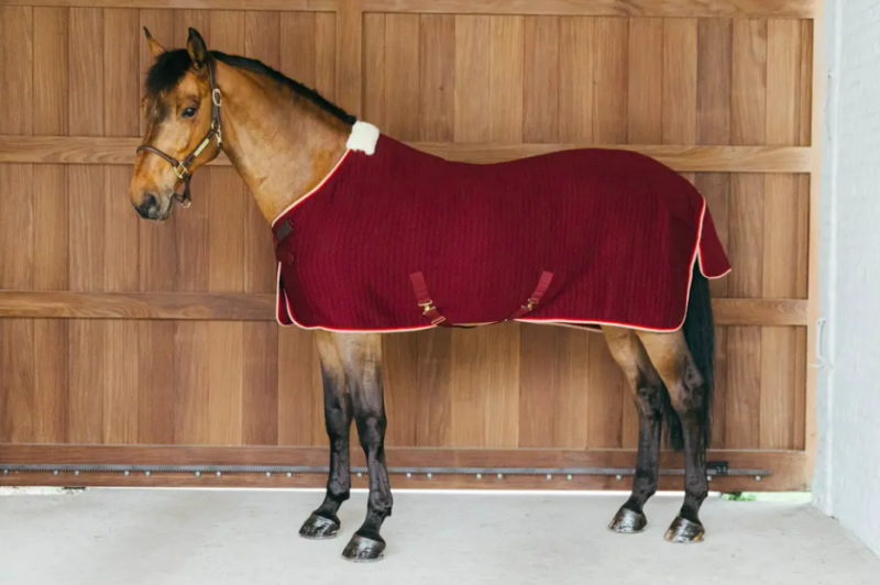 Kentucky Cooler Rug PROtherm Bordeux