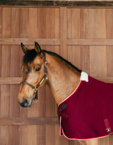 Kentucky Cooler Rug PROtherm Bordeux